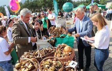 XVIII Wielkie Grzybobranie 130