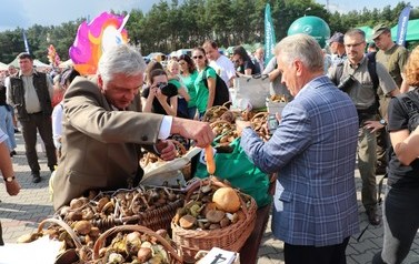 XVIII Wielkie Grzybobranie 133