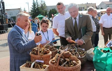 XVIII Wielkie Grzybobranie 134