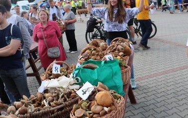 XVIII Wielkie Grzybobranie 142