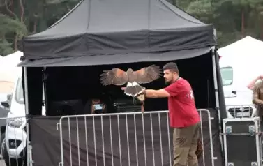 XXII Wielkie Grzybobranie 18