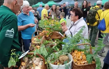 XXII Wielkie Grzybobranie 27