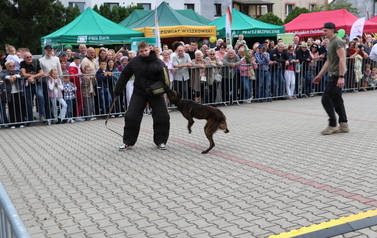XXiII Wielkie Grzybobranie (2026) 33
