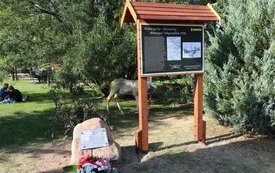 Bitwa pod Długosiodłem w wojnie polsko - bolszewickiej 1