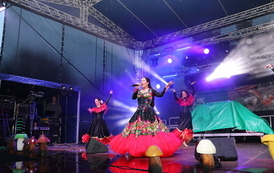 XIX Wielkie Grzybobranie w Długosiodle 19