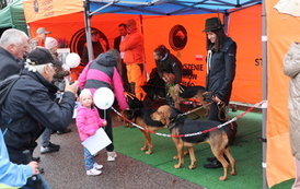 XIX Wielkie Grzybobranie w Długosiodle 70