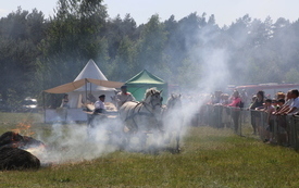 160 rocznica Bitwy pod Przetyczą - widowisko historyczne 22