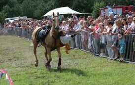 Wydarzenie upamiętniające Bitwę pod Długosiodłem 1920 roku 49