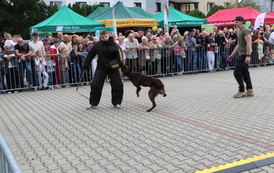 XXiII Wielkie Grzybobranie (2026) 33