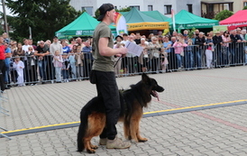 XXiII Wielkie Grzybobranie (2026) 37