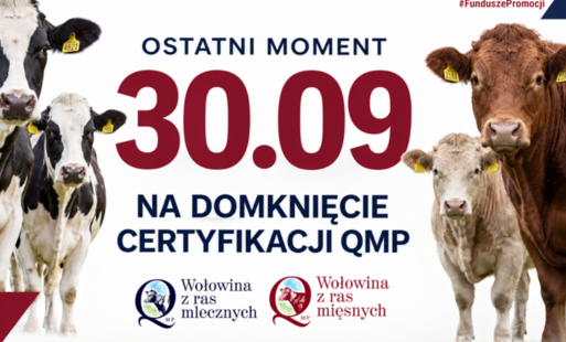 Certyfikat QMP — termin uzyskania upływa 30 września 2026 r.
