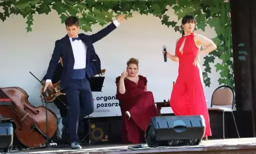 Zdjęcie do Od opery do musicalu